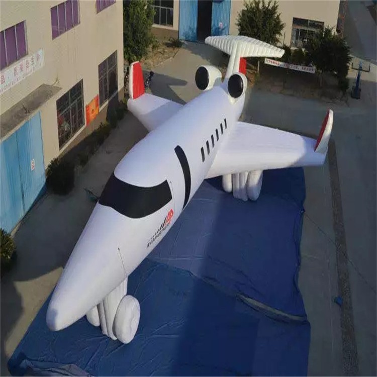 东方华侨农场充气模型飞机